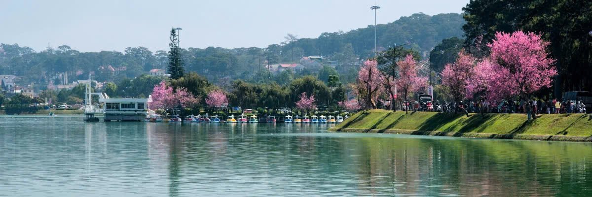 DalatTravel.com